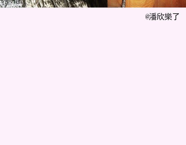 第17期 上墙|身边的女神25