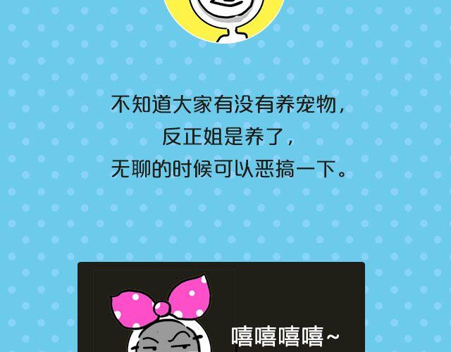 第19期 话题| 我家宠物被我玩坏了！2