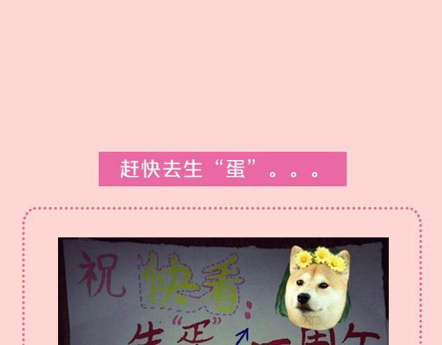 第18期 上墙 | 送给快看的一周年祝福！21