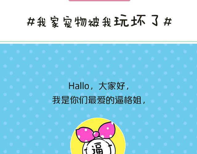 第19期 话题| 我家宠物被我玩坏了！1