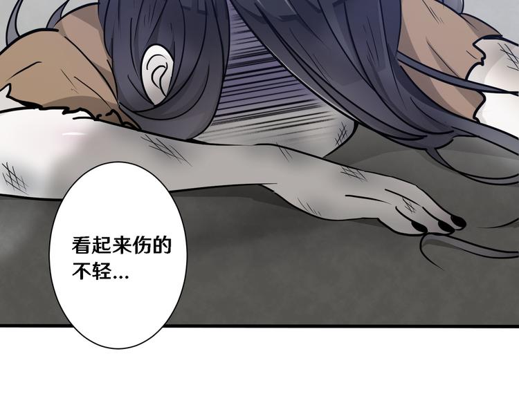 二55