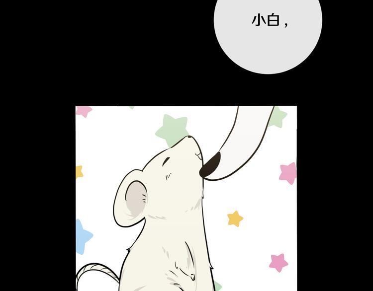九5