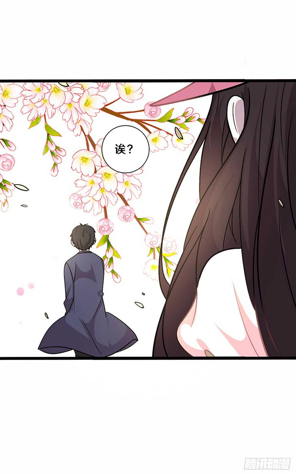 二十六15