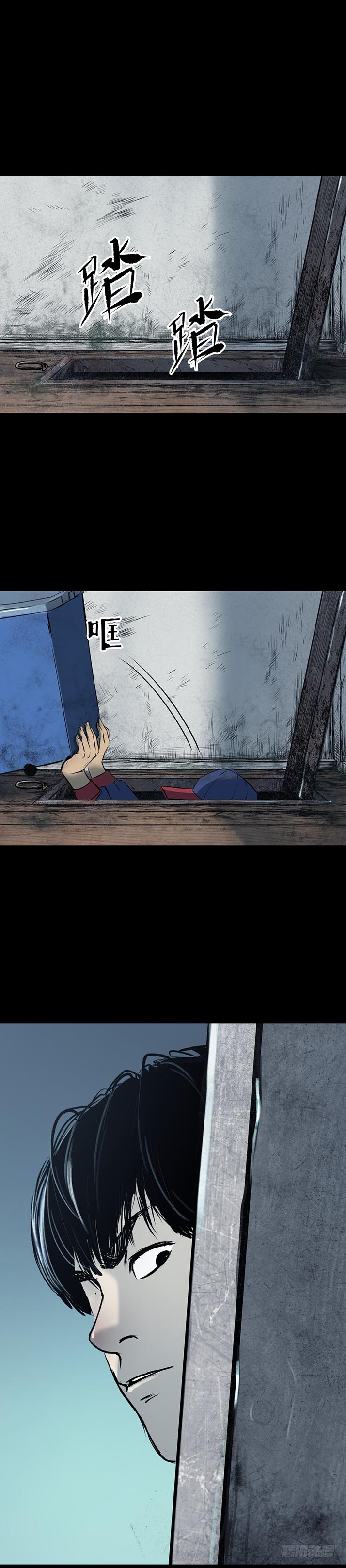 15菜窖捉贼11