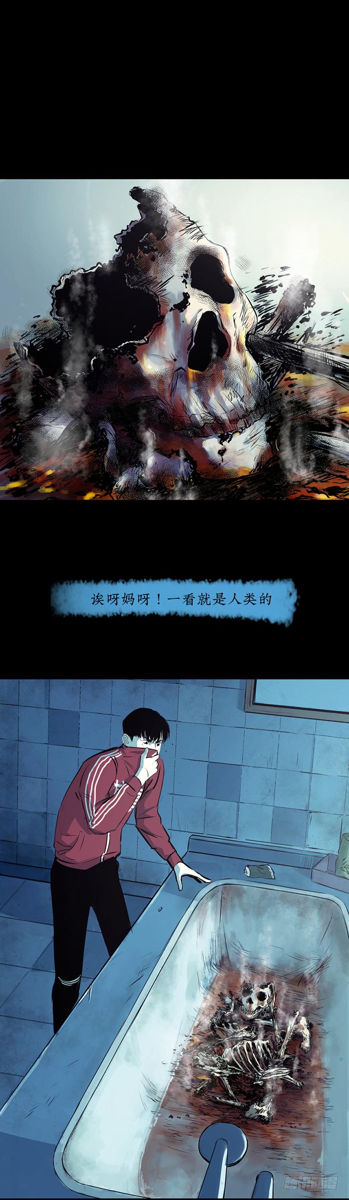 15菜窖捉贼2
