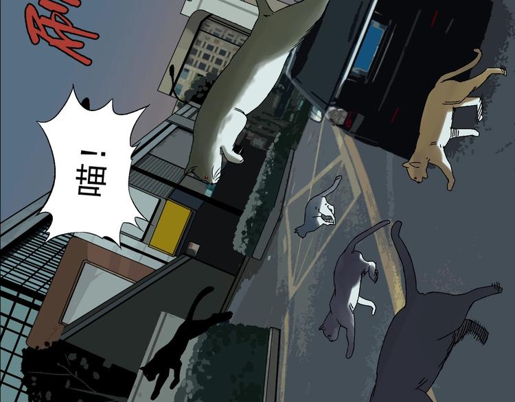 第5话 巧遇10