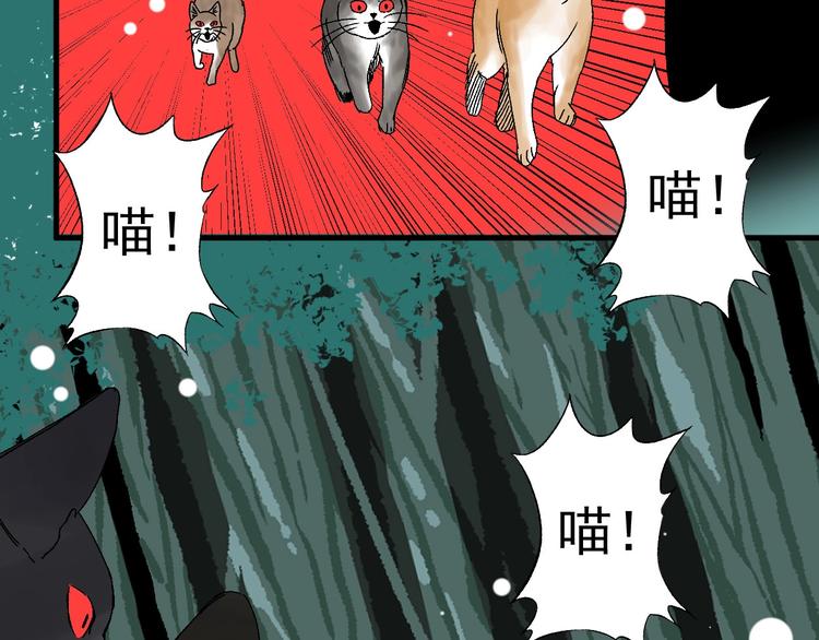 第5话 巧遇13