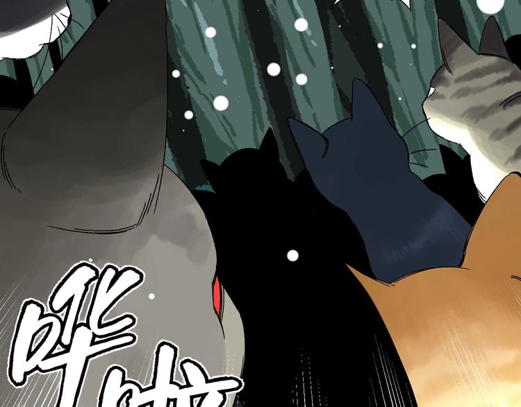 第5话 巧遇14