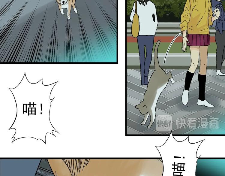 第5话 巧遇8