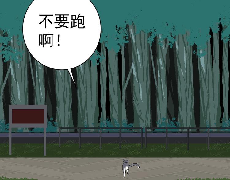 第5话 巧遇37