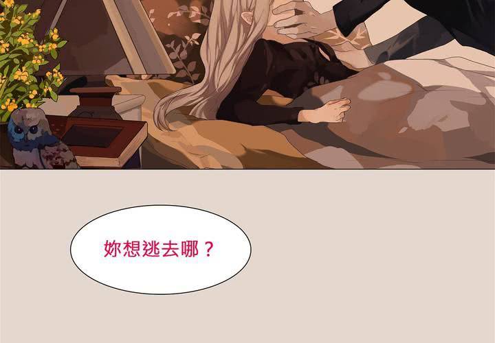 第二话 雏鸟不飞31
