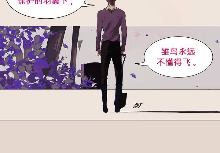 第二话 雏鸟不飞1