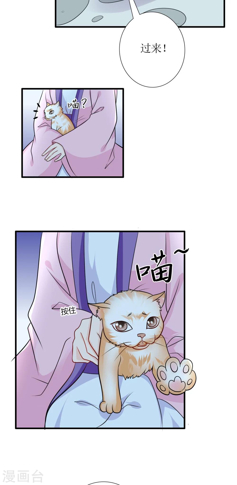 第31话 沈娴的奋斗目标15