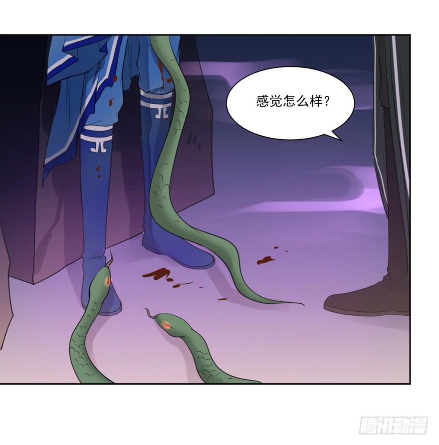 继承的血统14