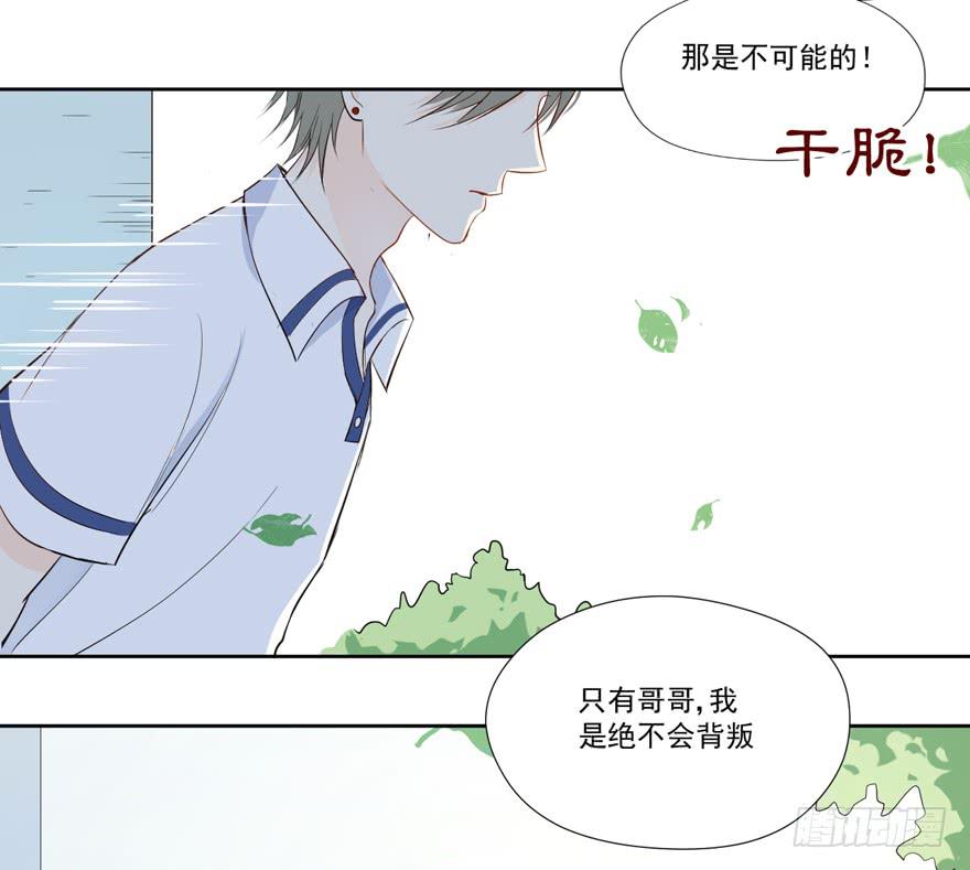 哥哥、告白、车祸38