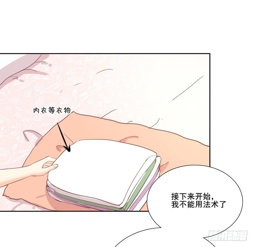 命中的缘741