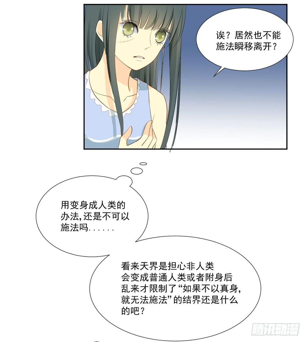 变身、你是谁？66