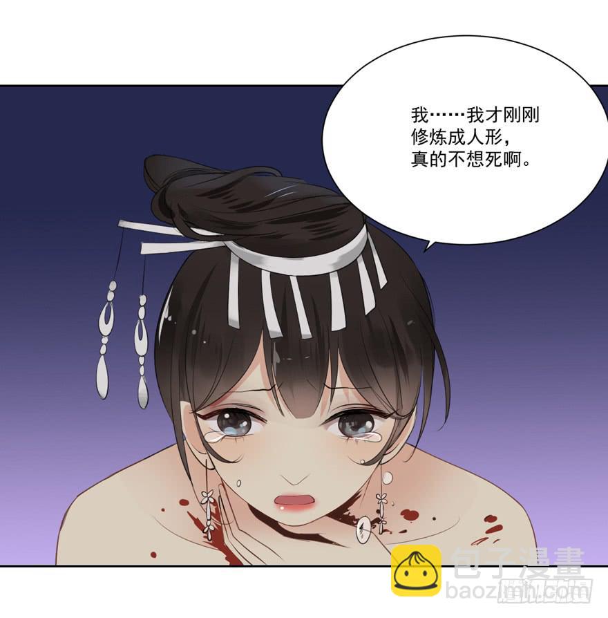继承的血统1