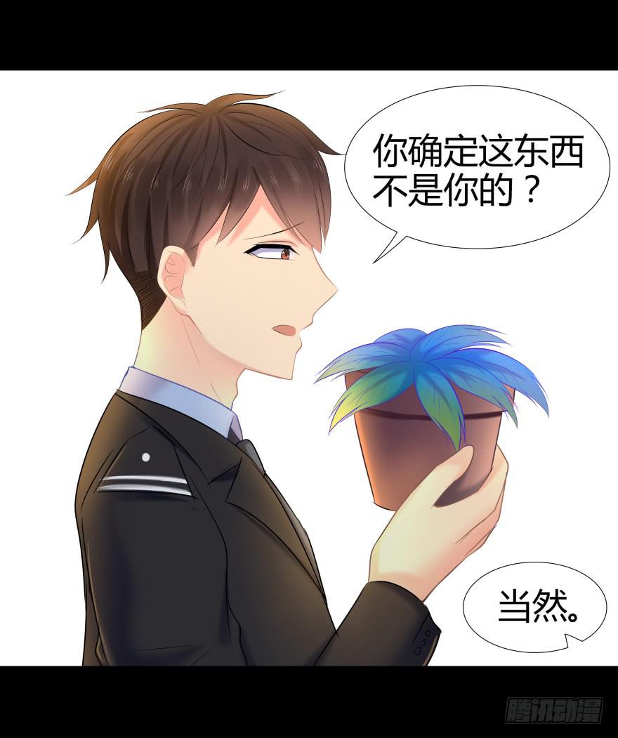 引煞草33