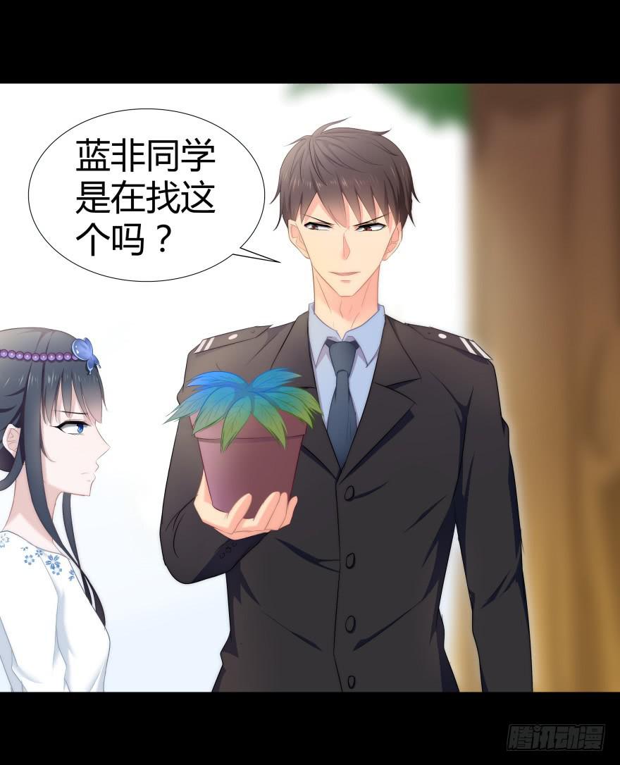 引煞草31