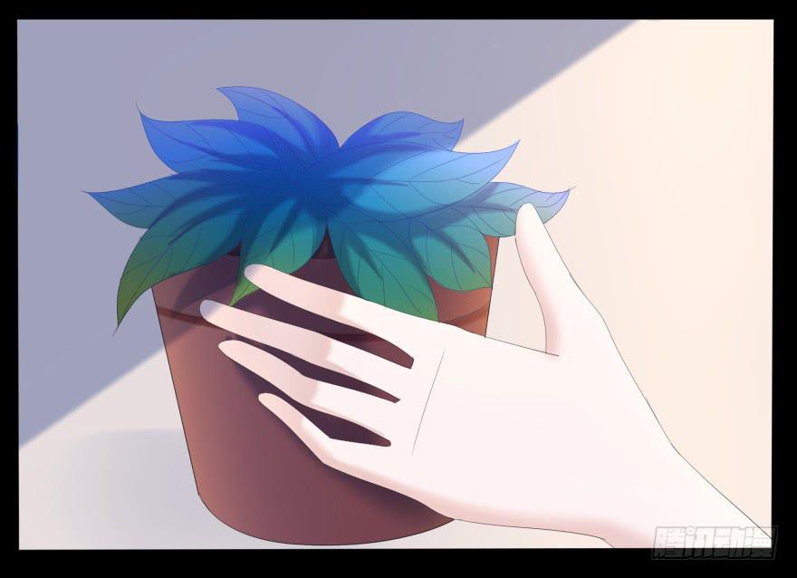 虚荣的代价36