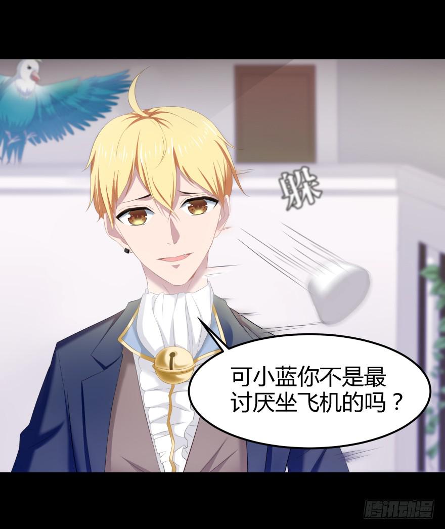 幕后的另一只手3