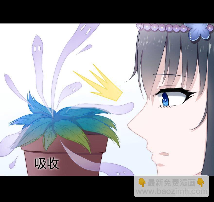 引煞草30