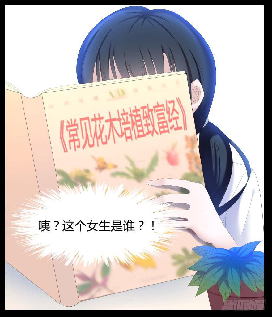 虚荣的代价32