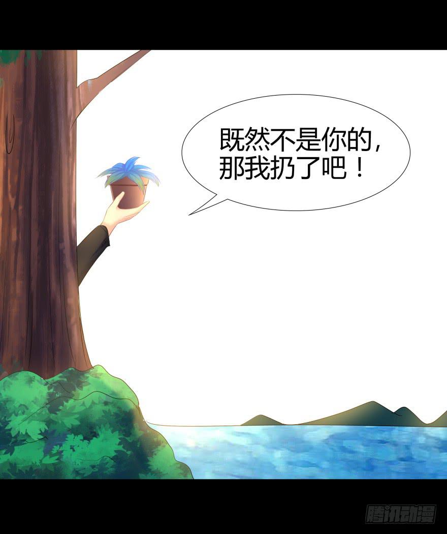 引煞草34
