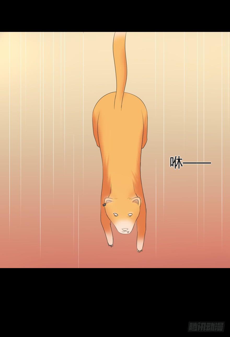 巨星登场26