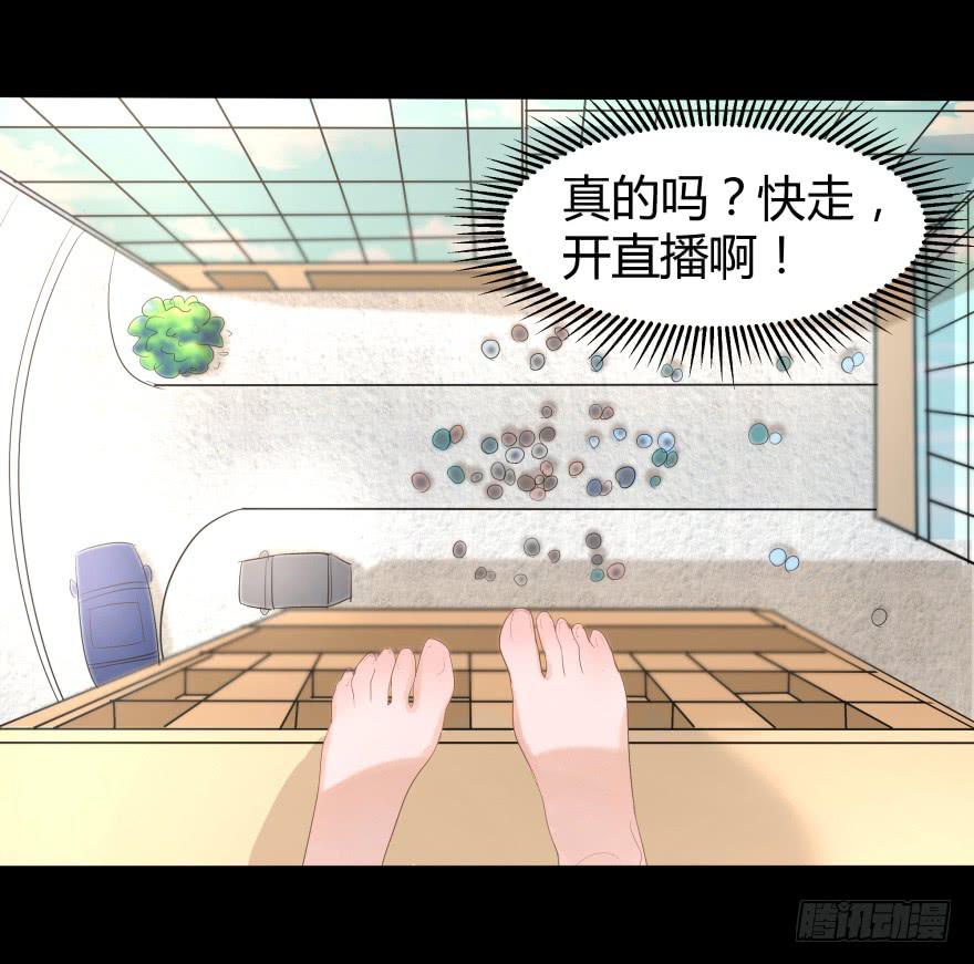 跳楼13