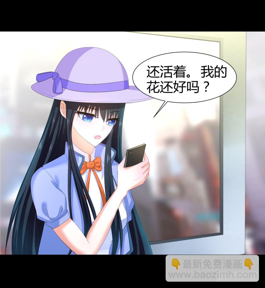 贵公子37