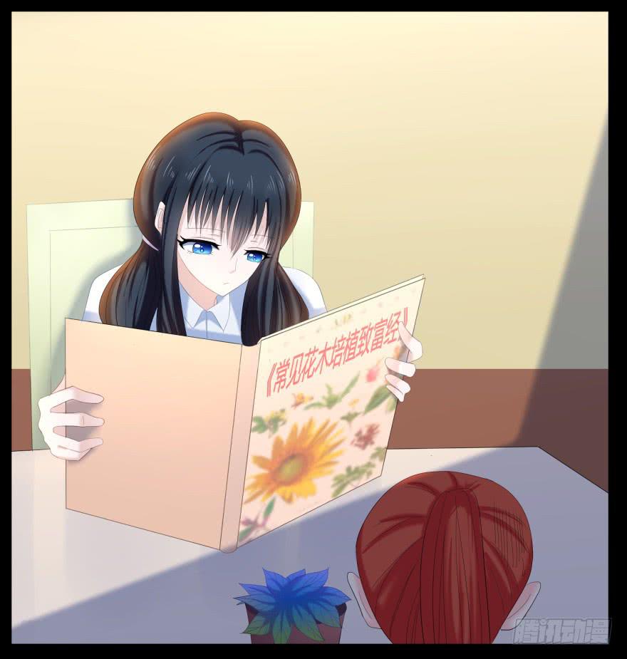 虚荣的代价37