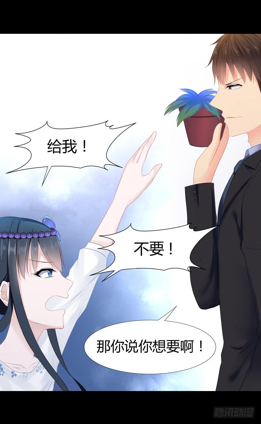 引煞草36