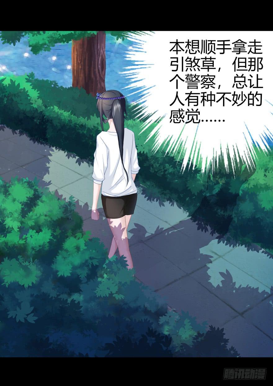 引煞草28