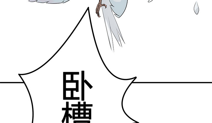 2话 是福还是祸？55
