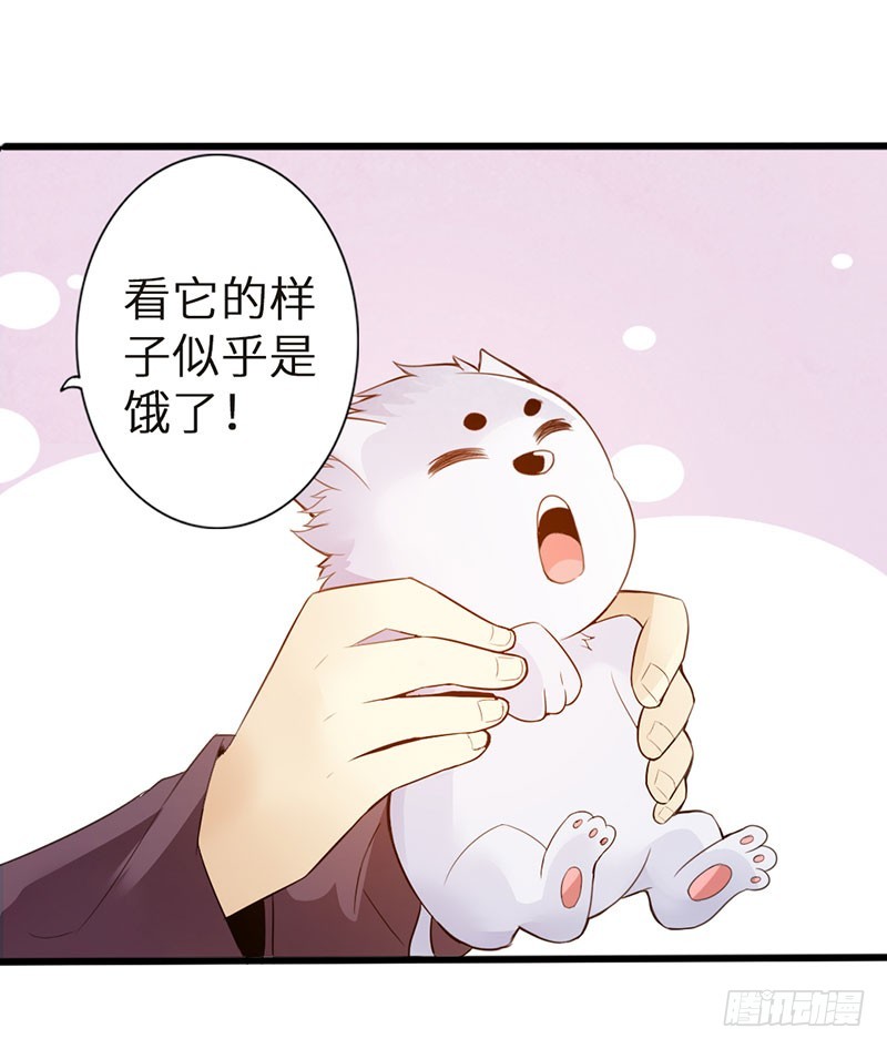 41-永驻神丹38