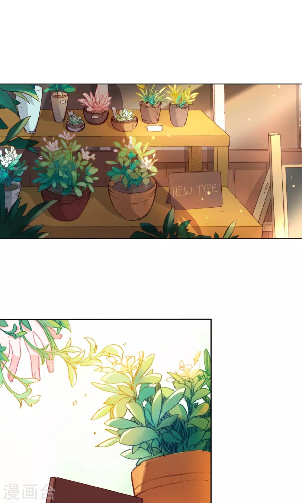 第12话 新品茉莉花1