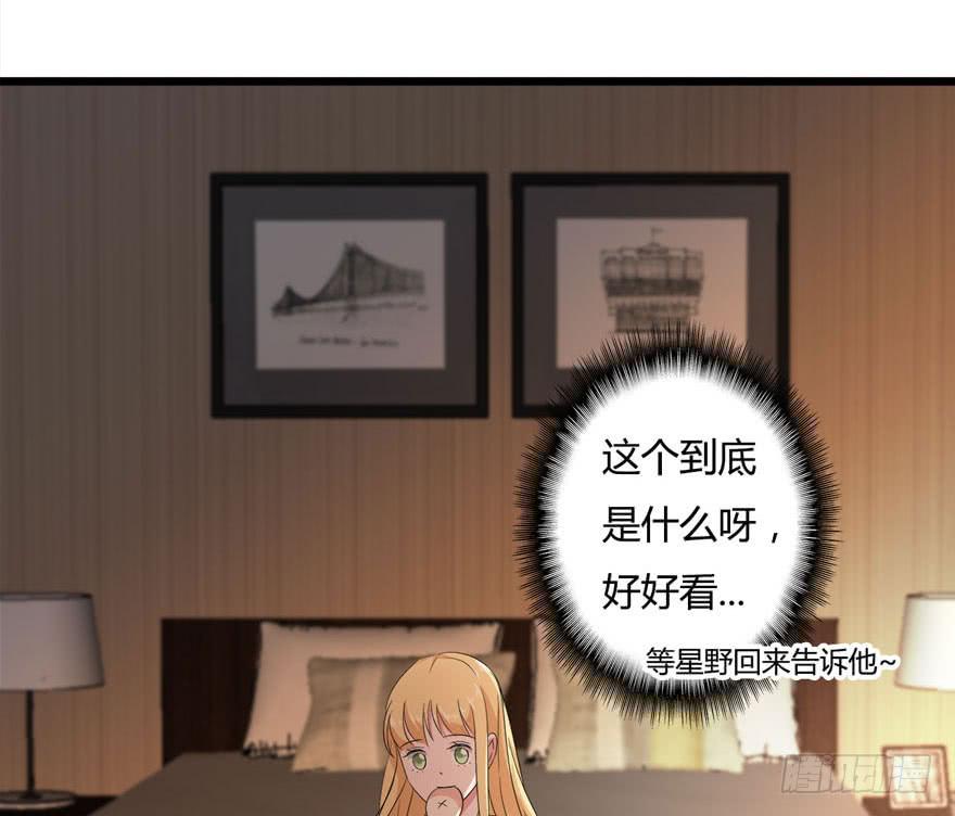 19.小麻雀47