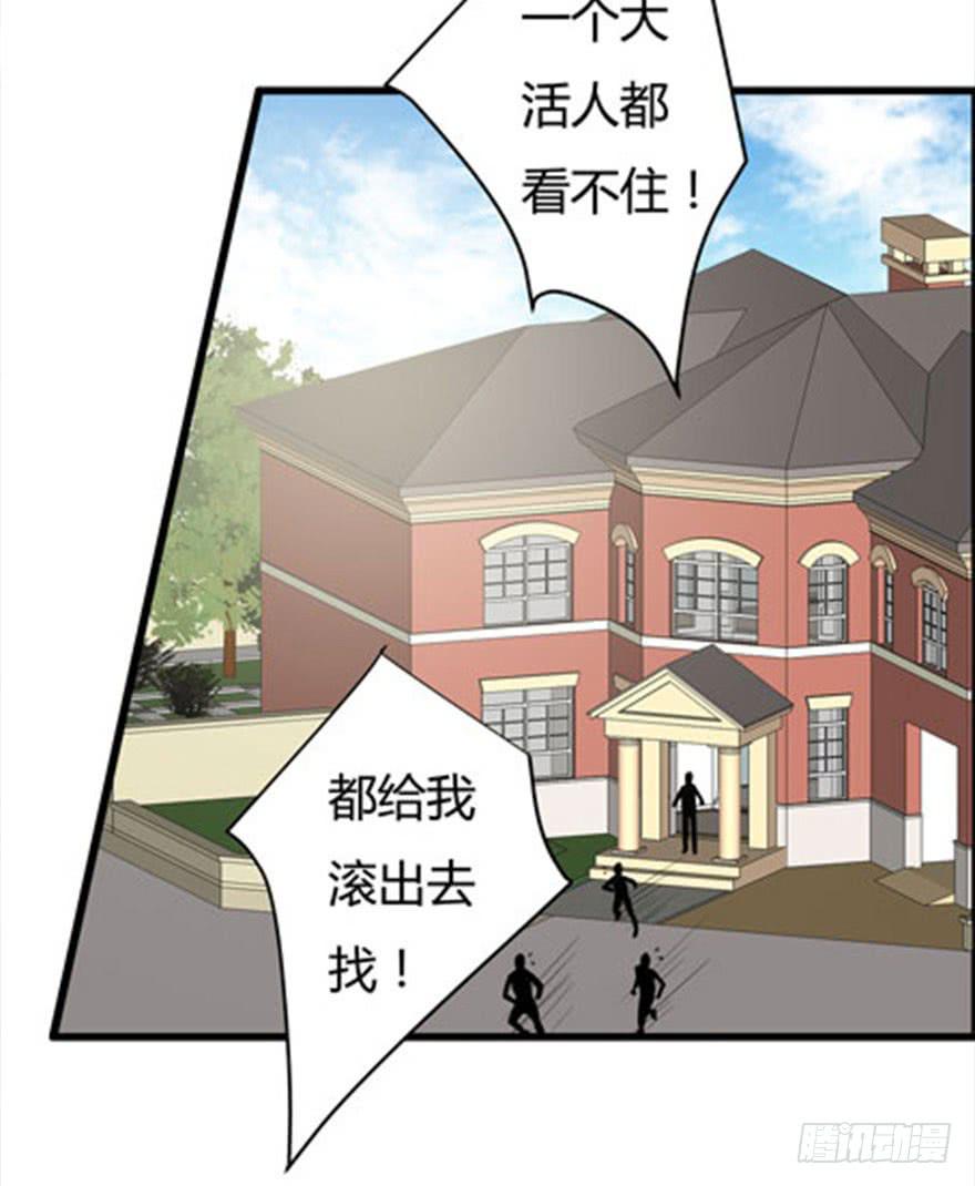 4.不要走2