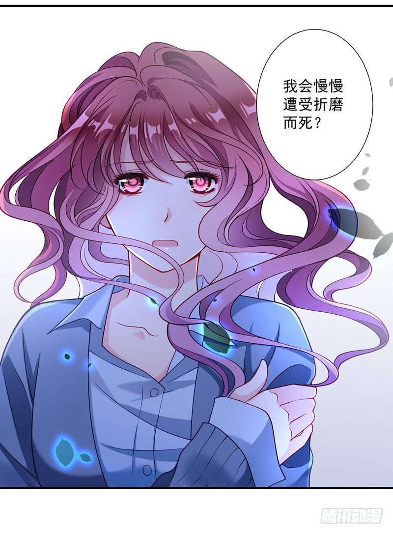 善恶终有报5