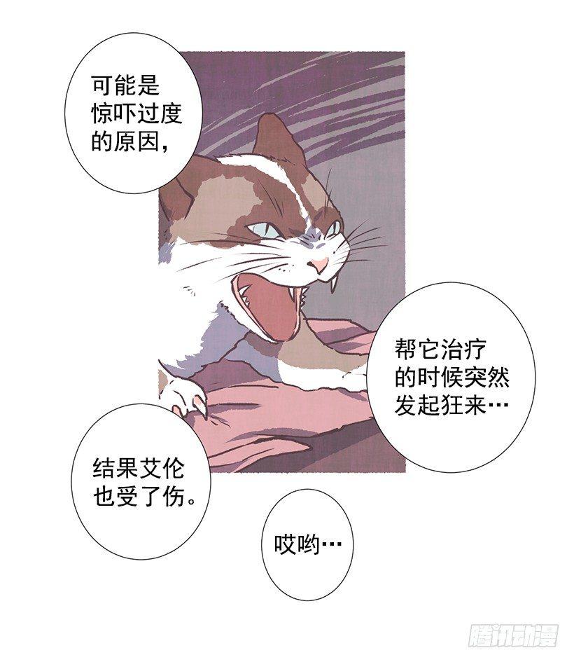 9.蕾拉20