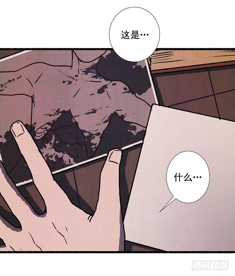 4.意外的发现53