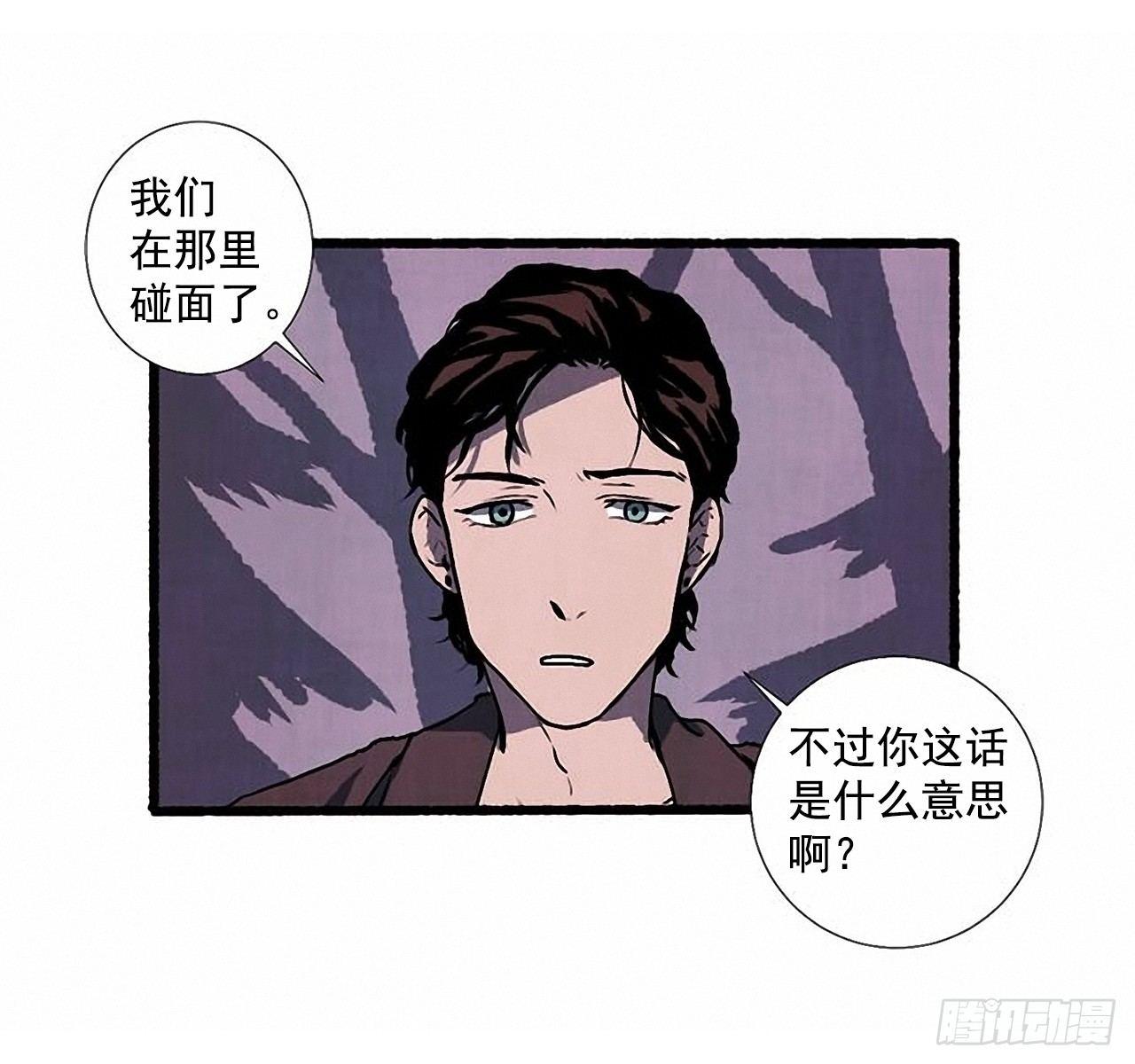 24.五只鹿标本48