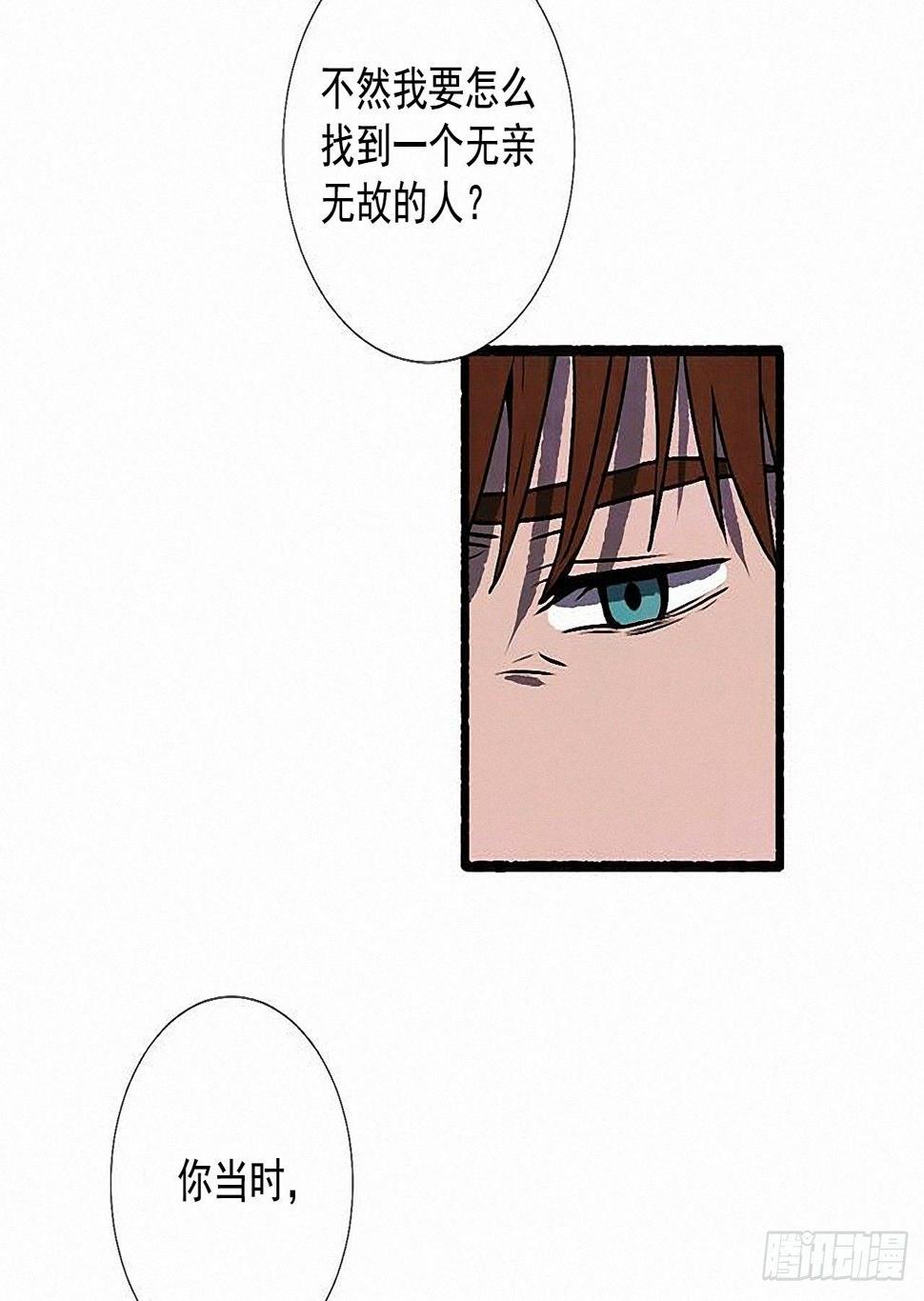41.祸根4