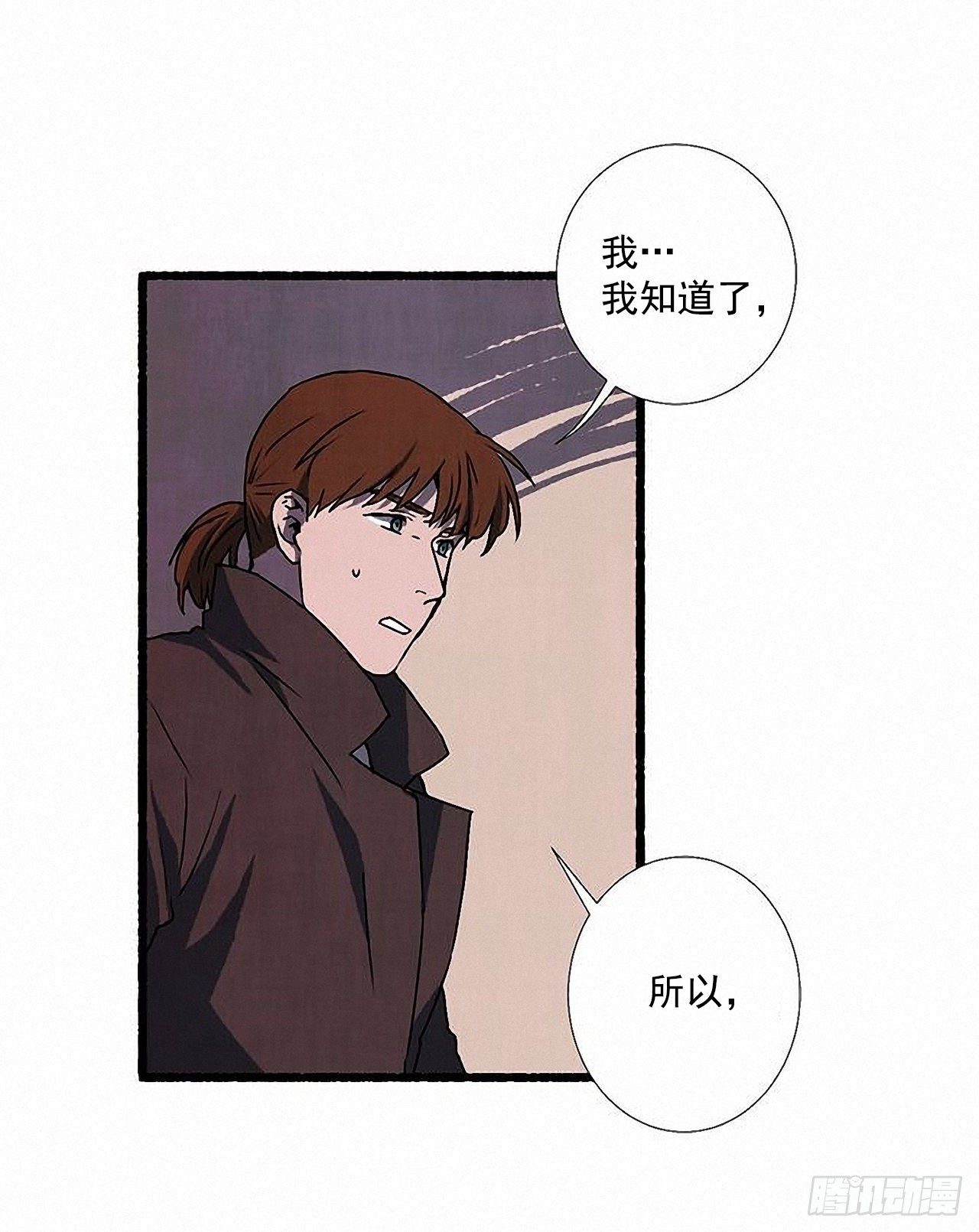 38.伪装24