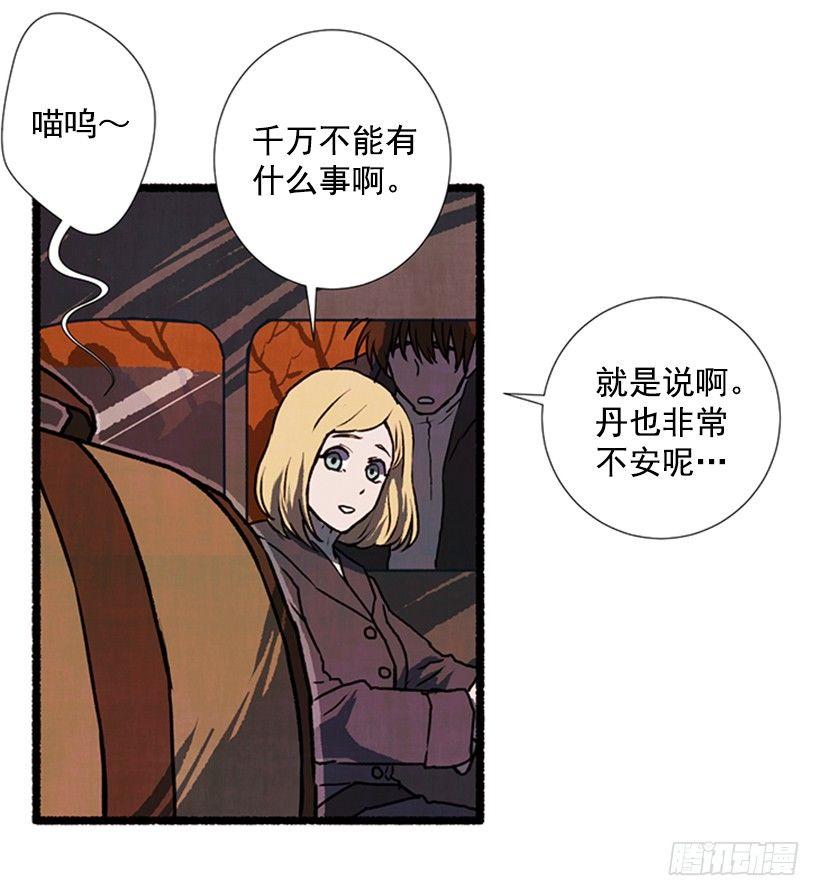 9.蕾拉18