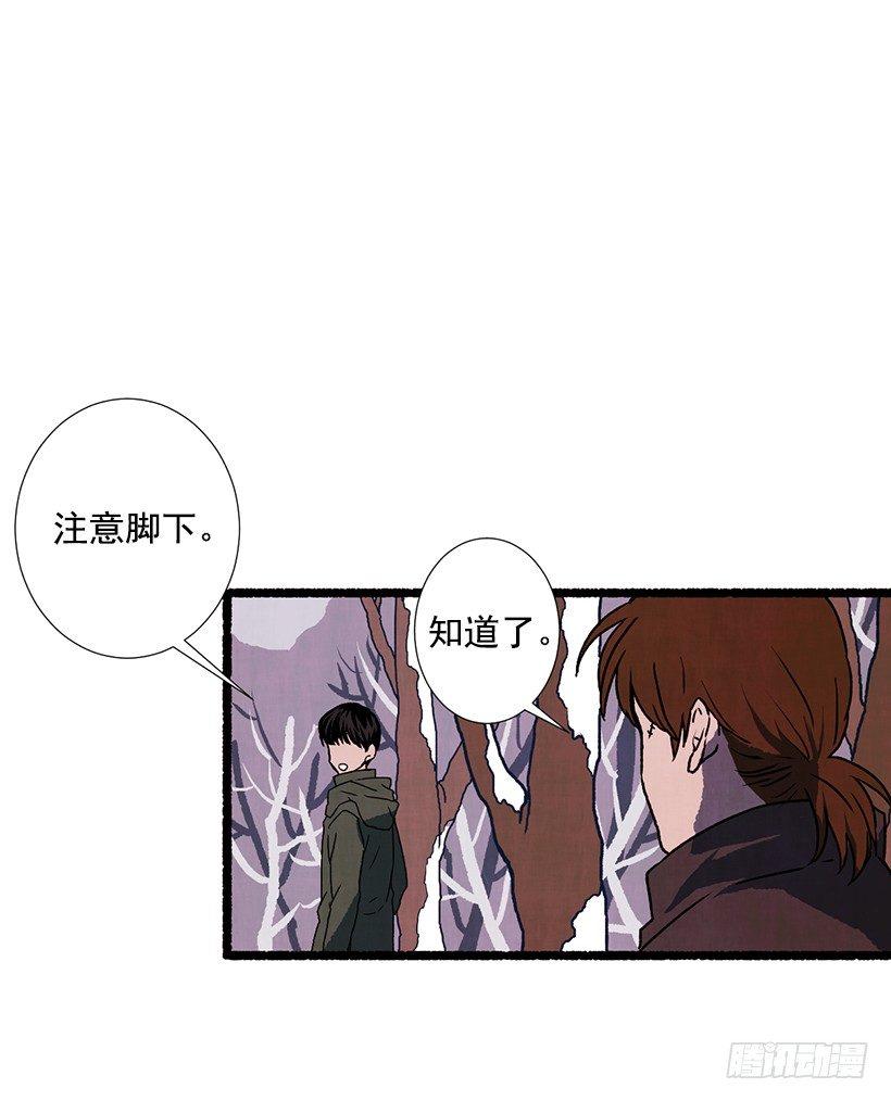 4.意外的发现12
