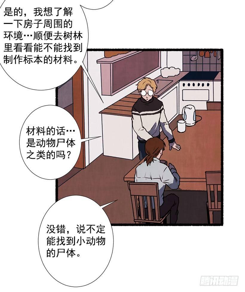 4.意外的发现3