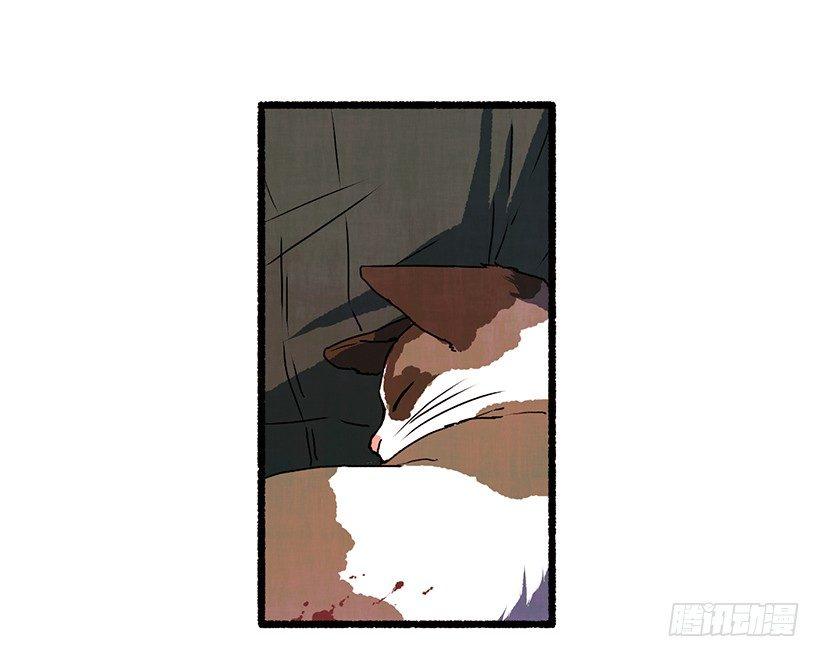 9.蕾拉3